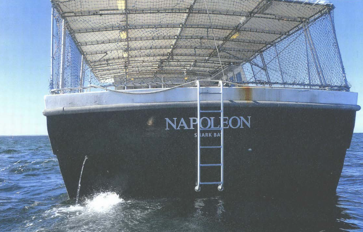 Photo of the stern section of Napoleon at sea